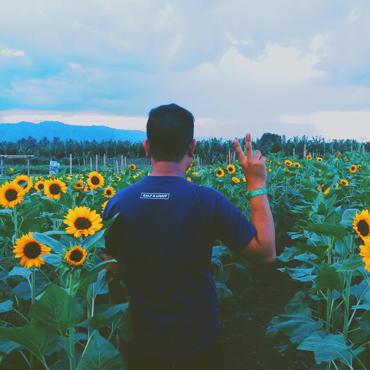 jayrobert01's tweet photo. Dont mind my back, focus on the flowers kay mahal ang entrance. #364of365 #FinalPage https://t.co/DQ6H5zHuSn