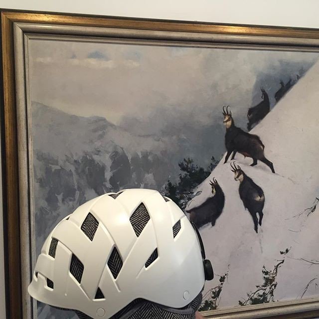 Pistengaudi! #winterwonderland #gams #aufderalmdagibtskoasünd #alpen #berge #skifahren #steilhang #safetyfirst #rockwell #snow #hüttengaudi