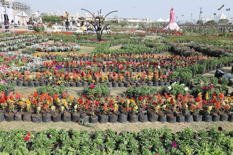 KalpeshRathavi's tweet photo. નિહાળો અમદાવાદમાં ફૂલોનો મેળો .. https://t.co/PD6ZorGaFJ