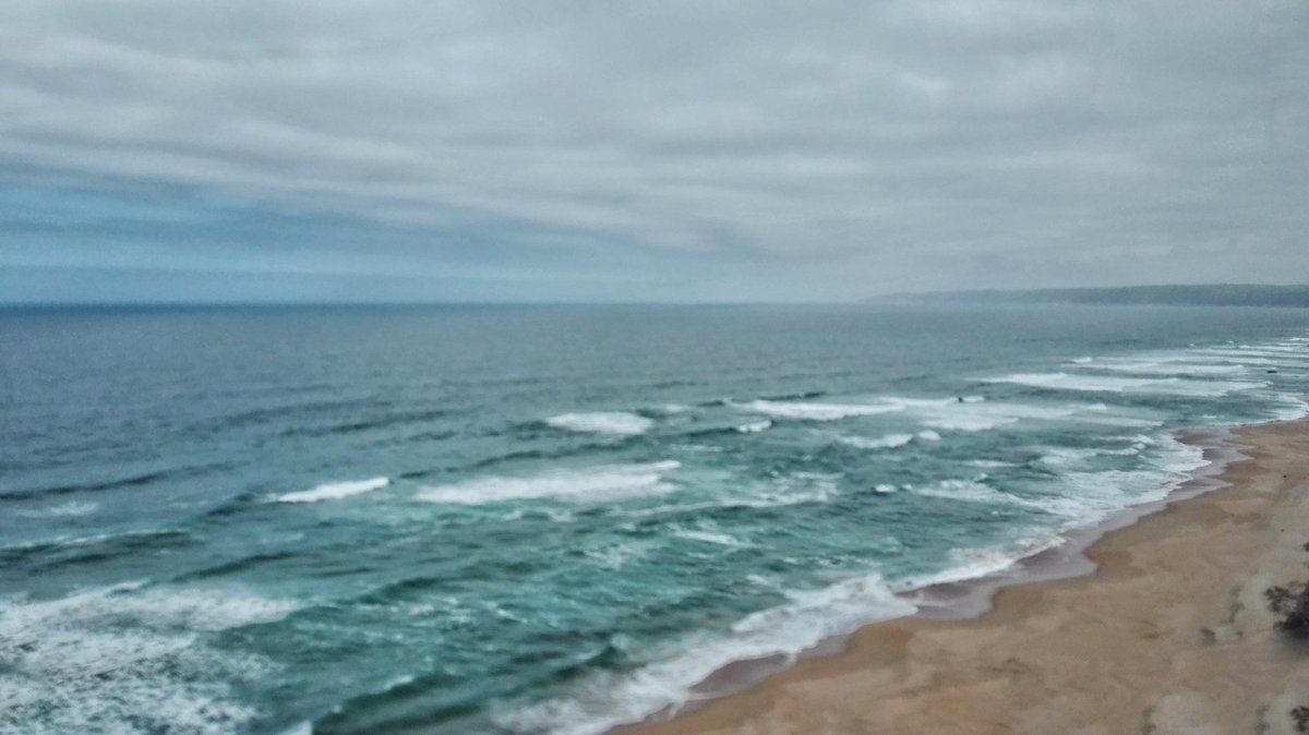 Travelbug Rose🐞 tweet media