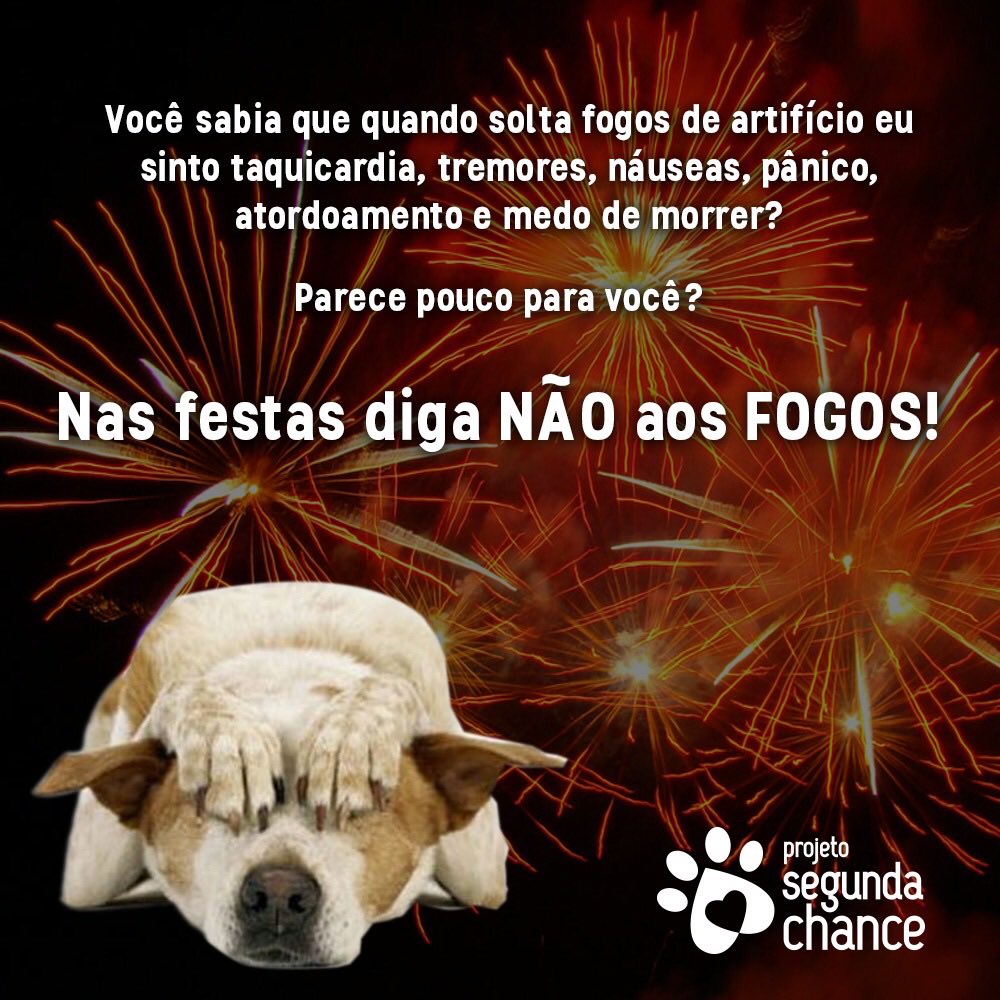 segundachance's tweet photo. Fogos, bombas, morteiros já estouram em todas as cidades. 
DIGA NÃO AOS FOGOS DE ARTIFÍCIO. Já comece 2018 diferente, pense nos idosos, nos enfermos e nos animais e elimine fogos de artifício da sua festa! https://t.co/gMJyGGei38