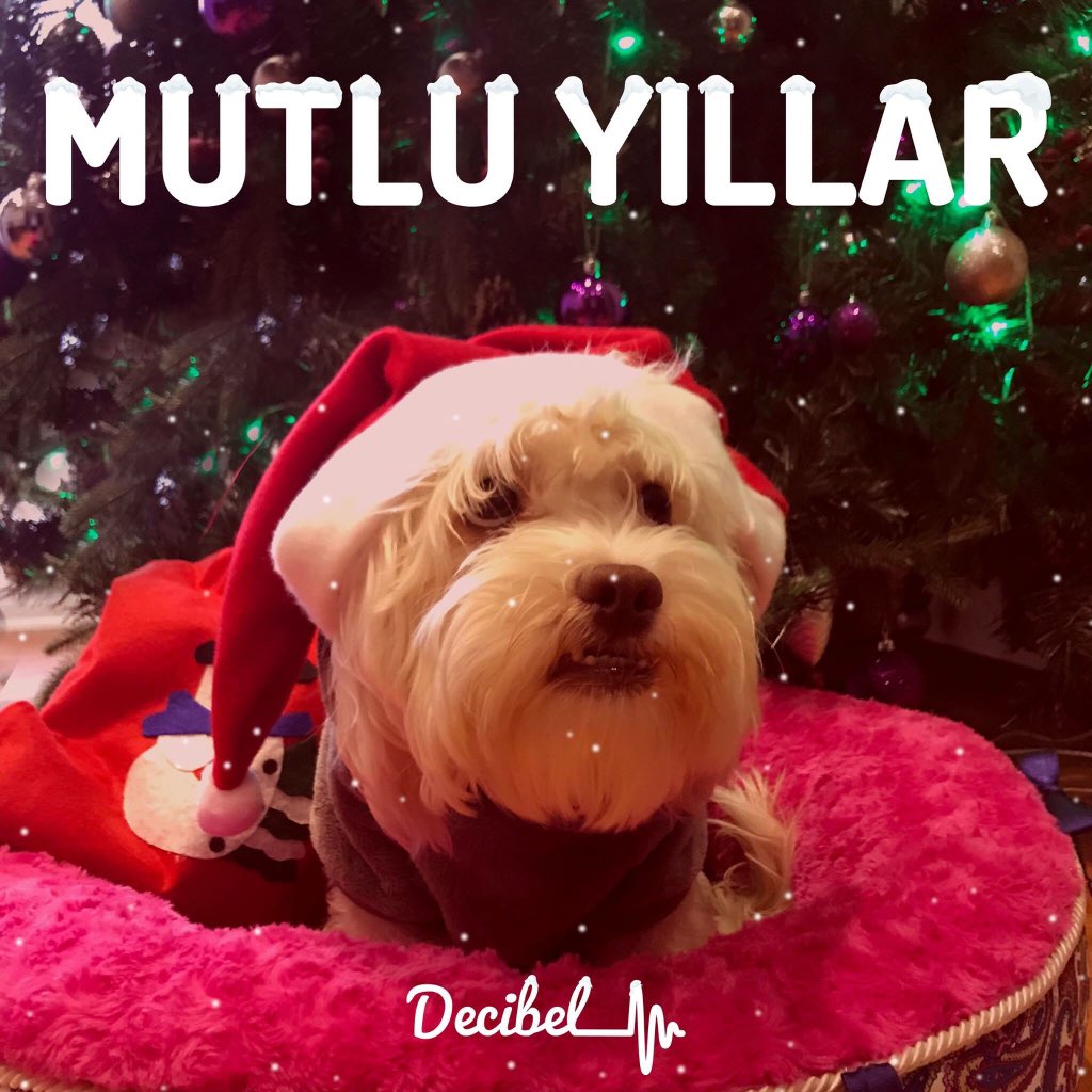 Decibelorg's tweet photo. 2018 size unutamayacağınız güzel anılar yaşatsın, yeni yılınız kutlu olsun! https://t.co/I3rL0tm5vk