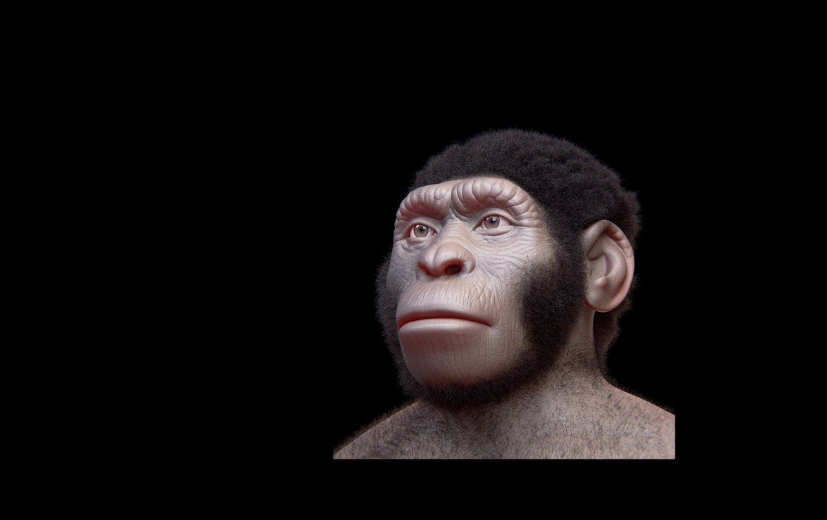 SciencePresse's tweet photo. En 2017, le portrait de l'Homo Sapiens, ou plutôt de "qui" furent les premiers Homo Sapiens, s'est considérablement complexifié. #Revue2017 https://t.co/WRDDNhyKEq https://t.co/6tKd6BZcUh