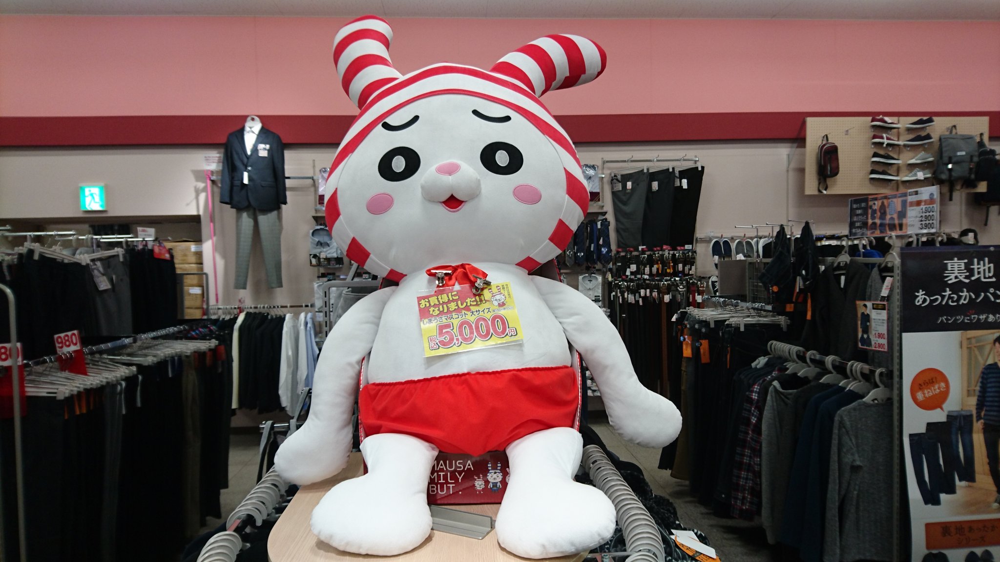 Ishikawa Kouichi Al Twitter 那須烏山市 しまむら烏山店にて しまむらのマスコットキャラクター しまうさ のぬいぐるみ 大 がプライスダウンしてお買い得 5 000 W しまむら しまうさ T Co L3ixjrnzab Twitter