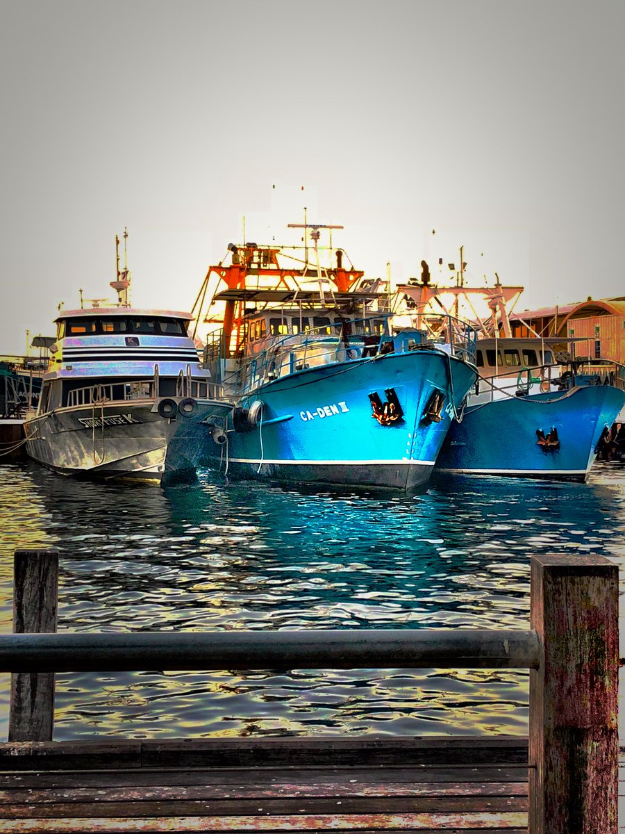 ajaljabri's tweet photo. Beautiful Fremantle #beautifulWA https://t.co/6LjSI9N5Pw