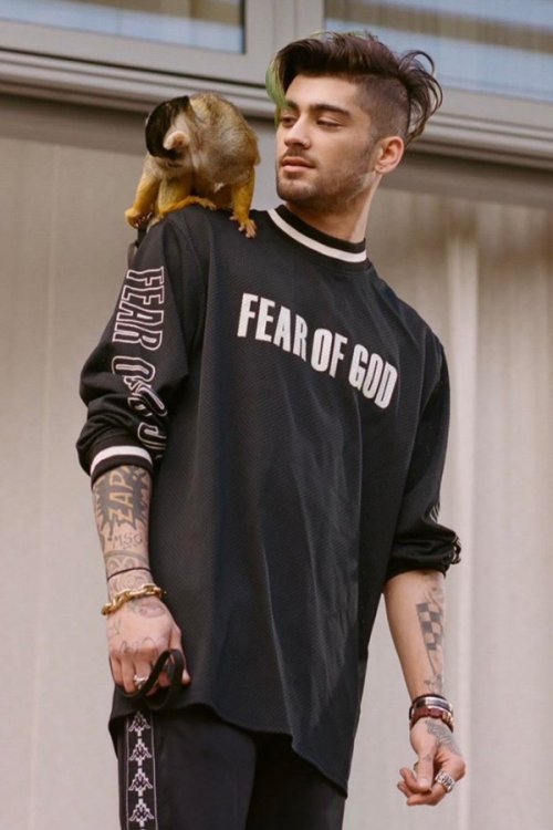 bestzaynsphotos's tweet photo. https://t.co/QV0CeG2ABc