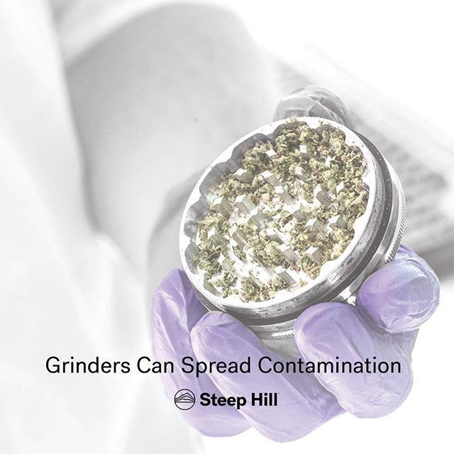 spliffseeds's tweet photo. Do you ever clean your grinder? #weed #steephilllab #pesticides #calcannabis #cannabisregs #stoners 📷: @steephilllab https://t.co/mDWOMuydzi
