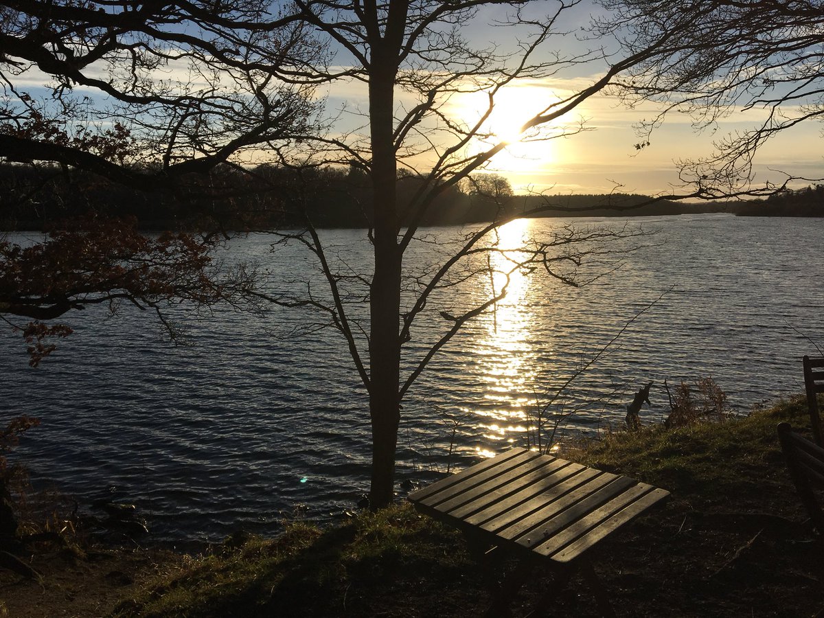 Broomwagon1's tweet photo. @NTClumberPark beautiful place https://t.co/jaYPvpVQKJ