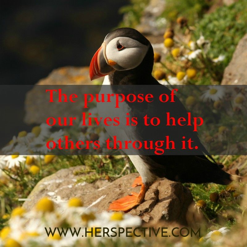 HerspectiveMktg's tweet photo. One way we can help others is by becoming #entrepreneurs and creating the jobs that they need. #femalestartups #herspective #savvybusinessowners https://t.co/w7WxFNsr4C