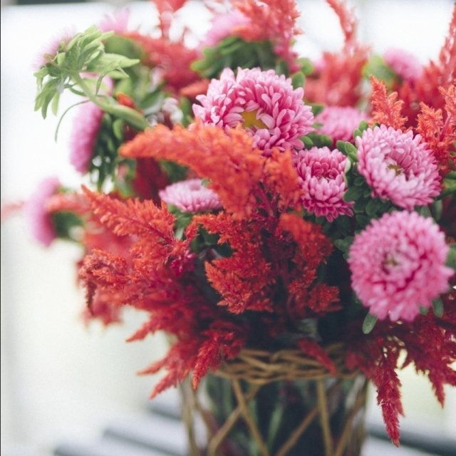 PAllenSmith's tweet photo. Some things you just can’t keep to yourself. These were taken several months ago, and I am still in awe of how gorgeous these arrangements turned out! The ‘Dragon’s Breath’ celosia adds so much flair to the already stunning ‘Bonita’ aster. https://t.co/ta6EK1FDDq