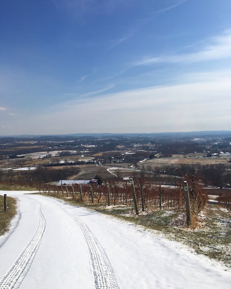 We think a Bluemont red pairs perfectly with a little Snowy white 🍷❄️