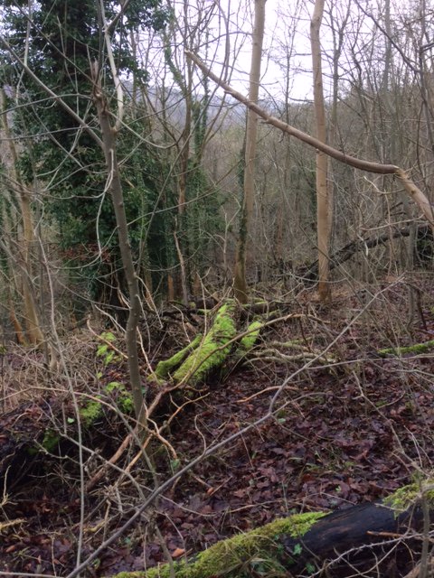 art_in_textiles's tweet photo. This morning's #dogwalk was cold and blustery but very #atmospheric up at #WhiteleafCross @VisitChilterns @Visit_Bucks Another picture in the making #textiles #textileart https://t.co/gpe5se1V98