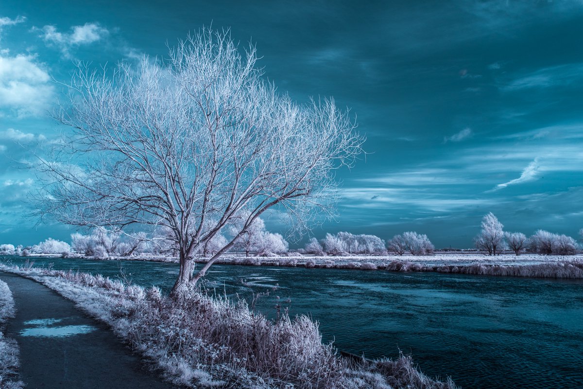 James Billings tweet media