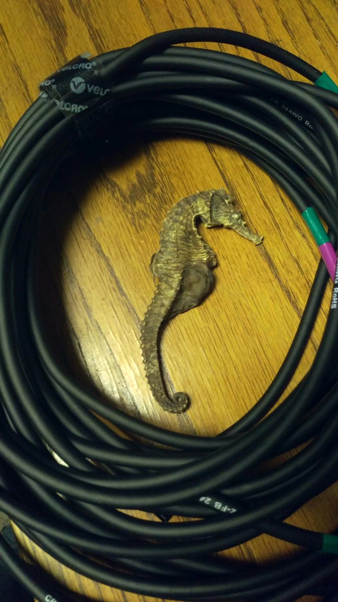 iAMCoop317's tweet photo. CONTEST! what should we name our new mascot?
Come hang out with us: it's open lab at #iTooLL 12p to 3p every Saturday... practice and learn to use dslr video cams, audio and lighting interfaces, or just hang out.
#GetCooperative #EquityArts #AmplifyVoices #IndyArts #IndyEvents https://t.co/83lDfxMTxC