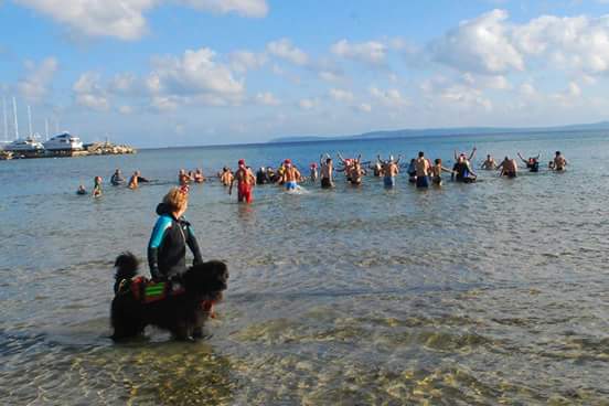 bormestourisme's tweet photo. Pour bien commencer l’année, les "Terres-Neuve du soleil" vous proposent le BAIN DU NOUVEL AN plage de la Favière à 15h00😉Avis aux courageux https://t.co/9FnVAV1Imh