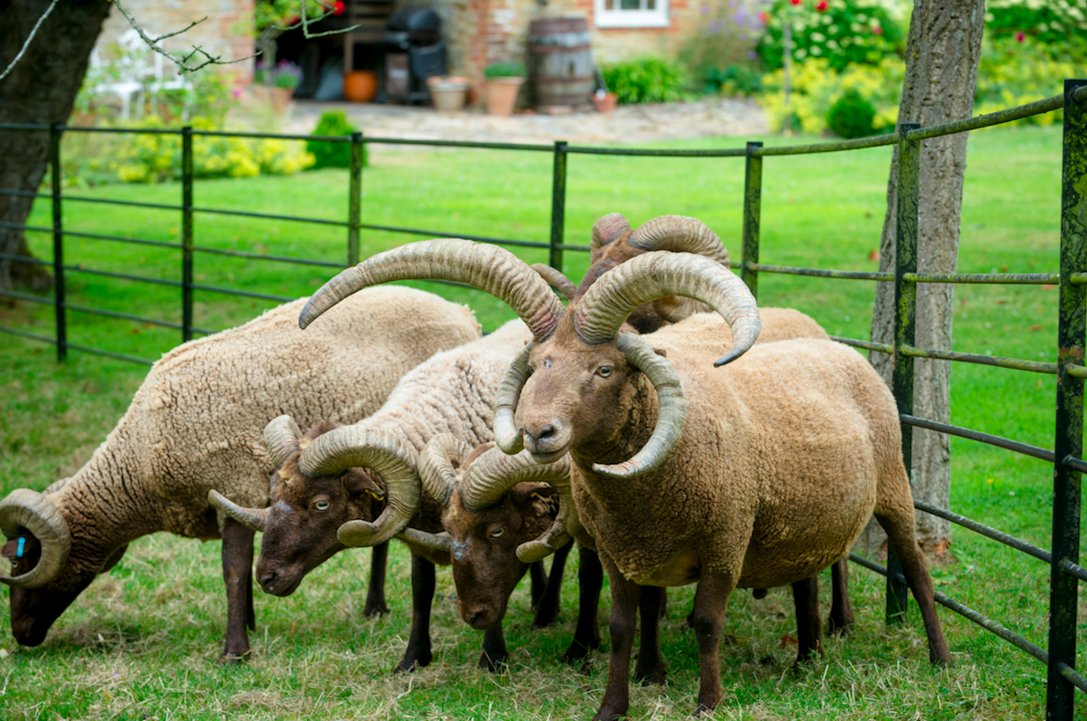 LCOFarm tweet picture