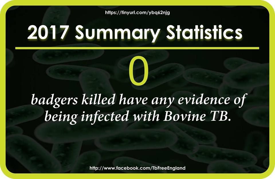 VaccinateBadger's tweet photo. 19,274 Badgers culled this year!
But not one tested to see if they have or are carrying BTB!
Defra say they dont need to,they obviously know the results would totally discredit the cull and put an end to it!
Something needs to be done to wake up the people of this country! https://t.co/e63PEhGZUn