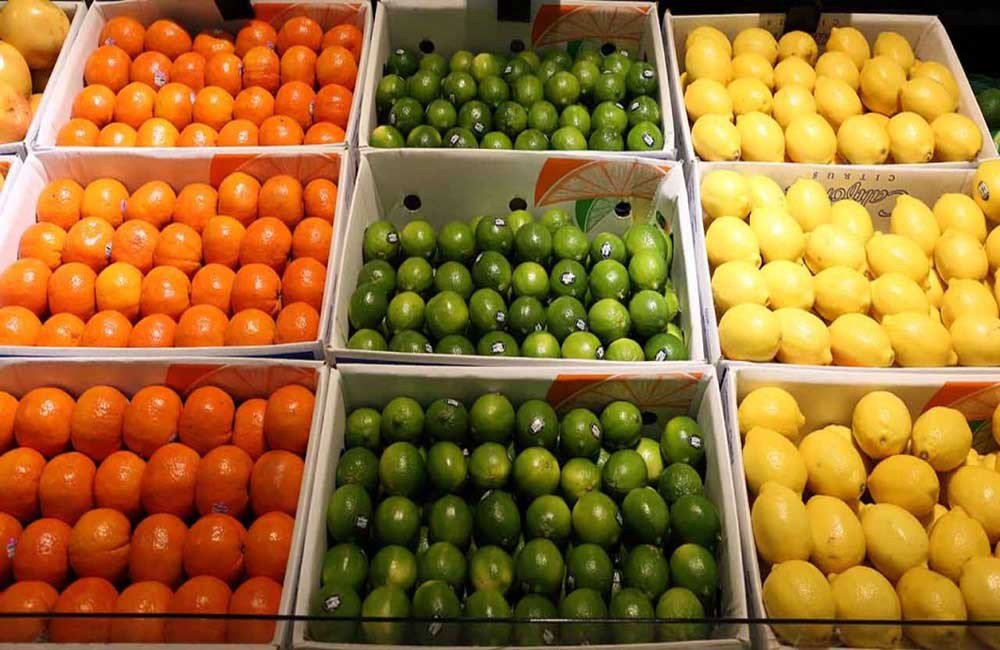 Coma saludablemente: los sorprendentes beneficios de los cítricos frutosdearbol.com/coma-saludable…