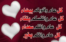 omomar (@omomar50347149) on Twitter photo 