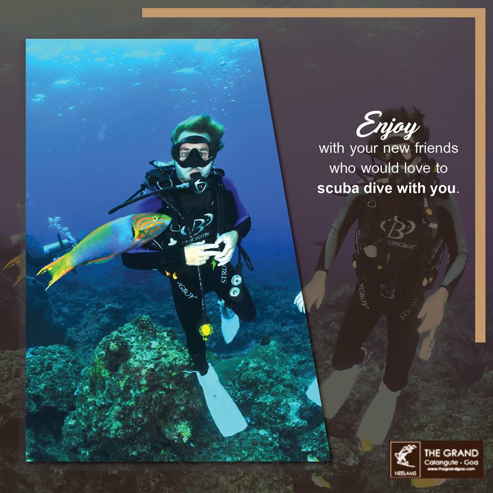 NeelamsTheGrand's tweet photo. Why not go for a completely different new year #Celebration with #scubadiving ? Book your stay now at #NeelamsTheGrand, #Goa to enjoy unlimited and unique #adventures https://t.co/cY3DnO12yf