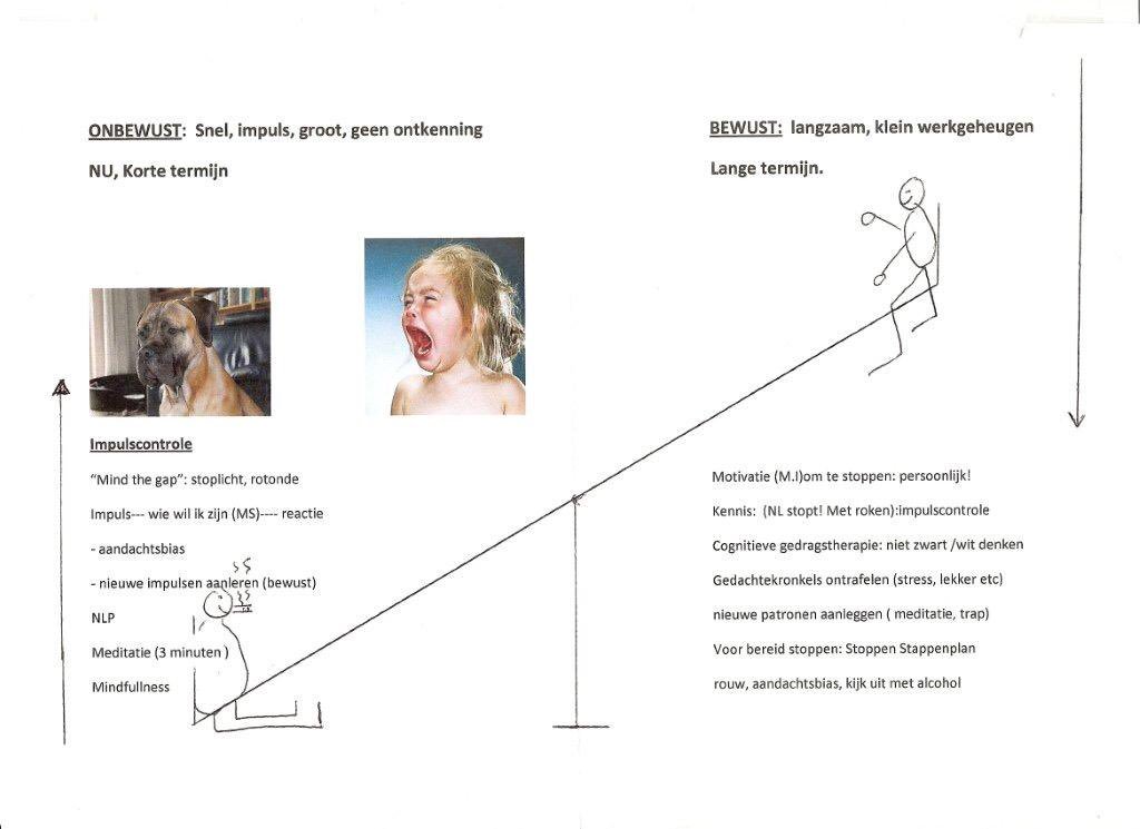 Wanda de Kanter tweet media