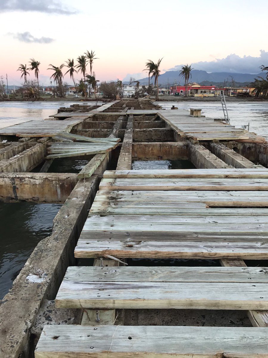 PadreOLugo's tweet photo. Sra @BeatrizRossello, aquí le presento evidencia de cómo está el muelle de los pescadores en #PuntaSantiago tras el paso del #HuracánMaría. Pudiera usar el dinero de @UNIDOSxPR para arreglarlo y activar la economía del lugar. ¡Los pescadores esperan por su ayuda! @ricardorossello https://t.co/9Yub4P0mg1