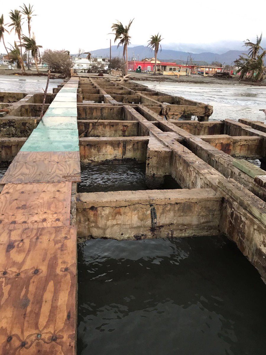 PadreOLugo's tweet photo. Sra @BeatrizRossello, aquí le presento evidencia de cómo está el muelle de los pescadores en #PuntaSantiago tras el paso del #HuracánMaría. Pudiera usar el dinero de @UNIDOSxPR para arreglarlo y activar la economía del lugar. ¡Los pescadores esperan por su ayuda! @ricardorossello https://t.co/9Yub4P0mg1