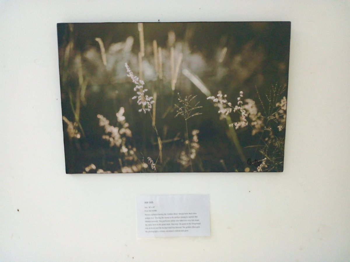 MamboMalindi's tweet photo. April Wambui's work at The White Elephant happening now !!! Call her on +254717011237 @April_wambui 
#mambomalindi #CoasteKe #mmfestival https://t.co/KxFMHKGIpH