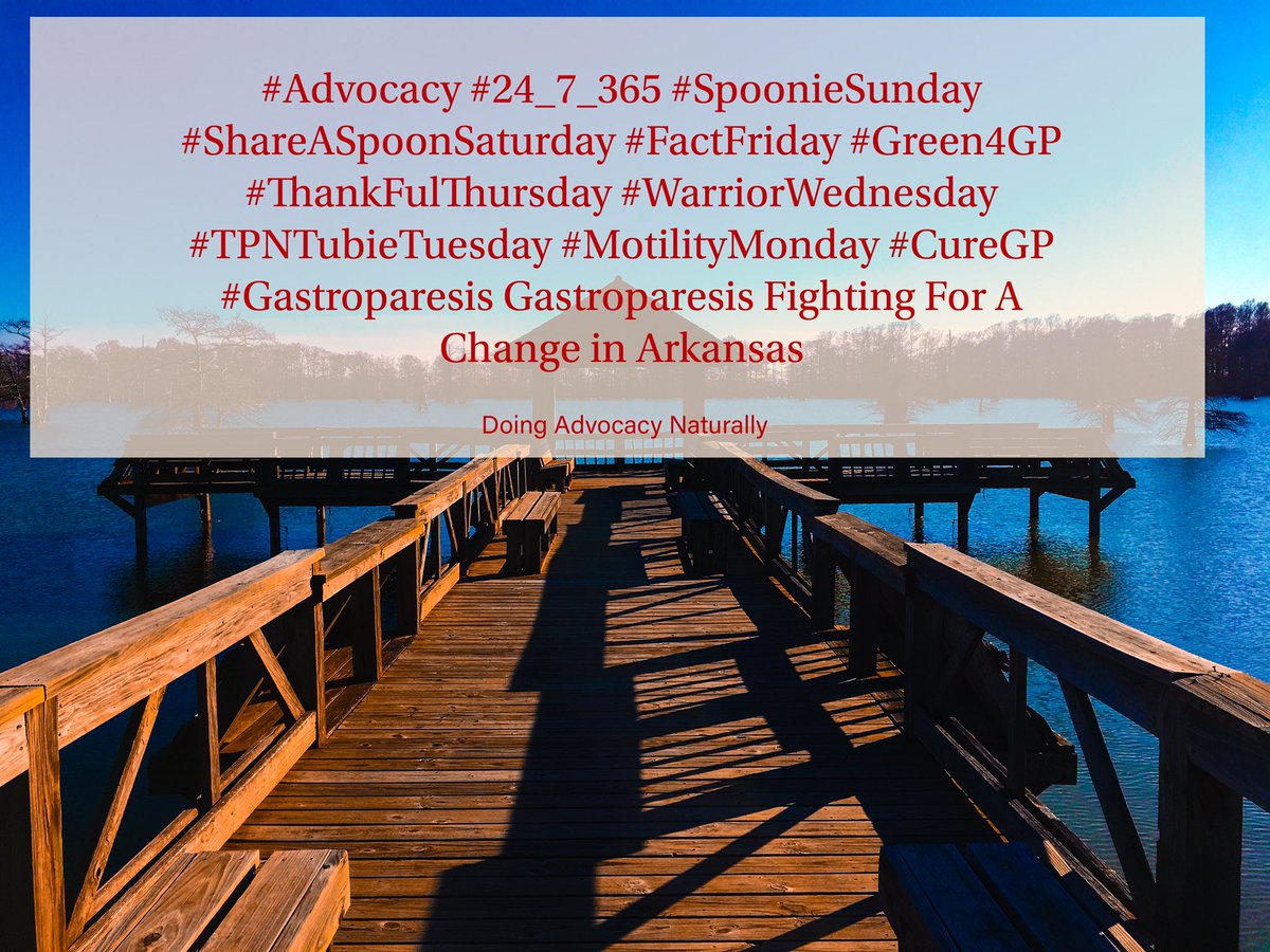 iamokaynow's tweet photo. #OneThingIAlwaysSay. #CureGP #Gastroparesis #TakeABite4GP #WorldWide 4 #Cures #ChronicWarriors #GPReporters R ready 2 #Eat! #USA our #MotilityBill #HR1187 #FGIMD #IBS NEEDS #Cosponsors ty @GpGQueen @melissarvh @bundytr5 @gimotility @IFFGD we #NEGU READY N 2018 @CNN @MSNBC https://t.co/OUphHZXSSx