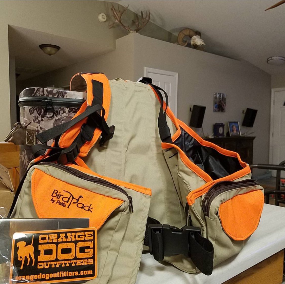 OrangeDogOutfit's tweet photo. Lightweight. Tough. USA-Made. 100% function. Thanks 📸 @chukarking #pella #birdpack #orangedogoutfitters #uplandhunting #birddogs #gundogs #westernhunting #pheasanthunting #chukarhunting #quailhunting #grousehunting #birdvest #uplandvest #huntinggear @PellaOutdoorCLO https://t.co/0ochtelq4m