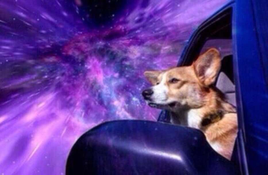 Cuando vuelves a casa en taxi después de salir de fiesta y todavía vas borracha.