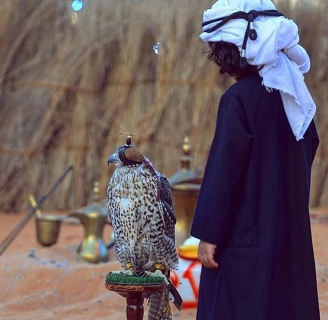 ↓˓❁⸀
•
•
•
•
•
•
❥
•
لـيـت آلـڒٍِمـن يــمـشــي عــلــى آلـكـيــف ۅآلـقــآك
ۅلــيــت آلـ....ـلــقى مــآيـنـتـهــي يــۅم آشــۅفــك
•
❥
•
•
•
•
•
•
○
#ياليت 🔕💔
