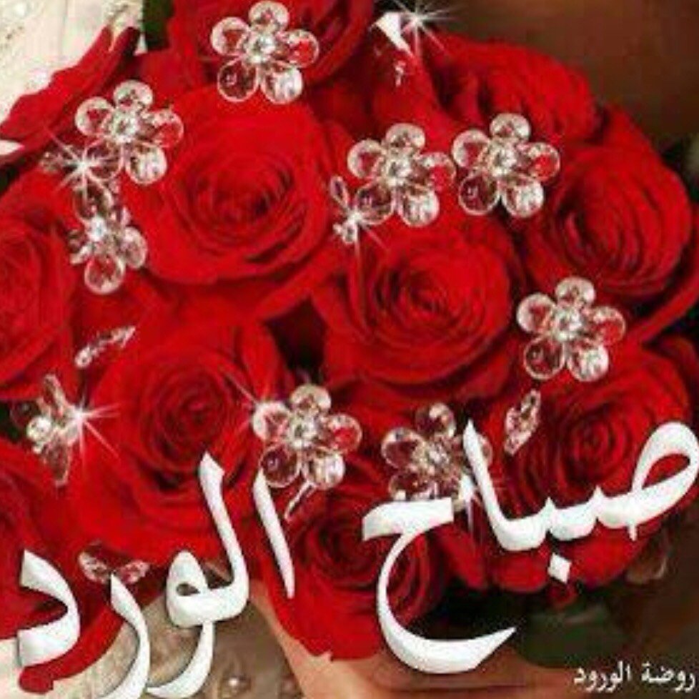 سلام للعيون التي تبتسم وفي داخلها بحر من الدموع ؛
سلام لقلوب تهب الفرح لمن حولها وممتلئة هي بالوجع :
سلام لأولئك الصابرين رغم الحزن والألم ؛
سلام لمن يغمر من حوله بالسعادة وروحه تتوق لها ..!!

اسعدتم صباحا ...