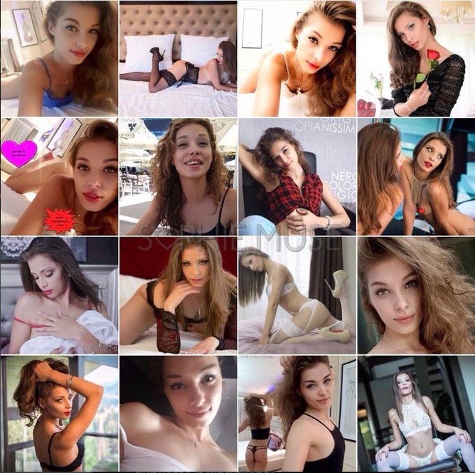 A Wonderful "Best of" Compilation of shots from 2017 done by my dear friend @darvell__35. Follow him