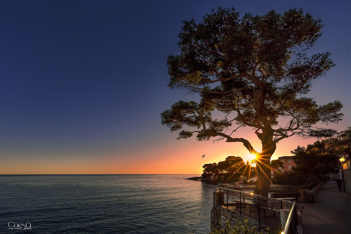 Caesa_picsprod's tweet photo. Le chemin du littoral de saint Jean Cap ferrat
https://t.co/NRyvSLPcOT
@VisitCotedazur @CanonFrance @tourime #nature #CotedAzurFrance #saintjeancapferrat #sunrise #photography #photographie #landscape #Earth #southfrance #FrenchRiviera #frenchmerveilles https://t.co/6hvYdwTaTI