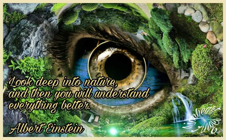 Pascalemaas1's tweet image. Absolutely 🍀💚🍀