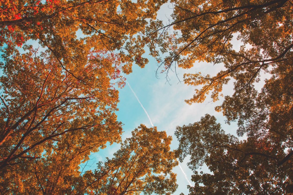 Trying out a #canon 5D Mark III on a hike in #Pennsylvania. 
Took this lovely autumn shot!
#photography #travel #nature