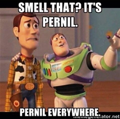pmgomes77's tweet photo. Pernil Story 3 😂#MetePernilNumFilme https://t.co/09jvFiiBh2
