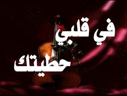 omomar (@omomar50347149) on Twitter photo 