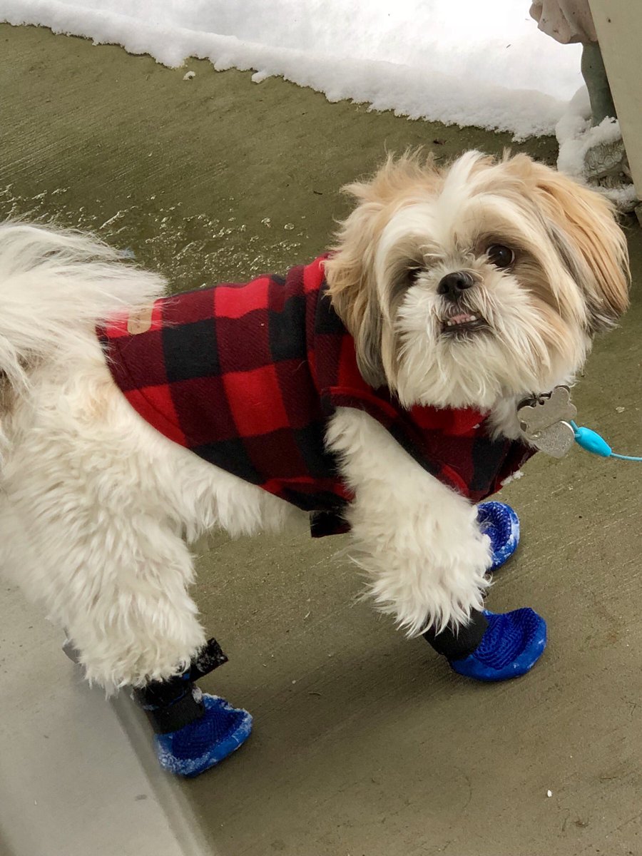 gulbane's tweet photo. @AmyFreeze7 Max! https://t.co/J7AMrQtUUW