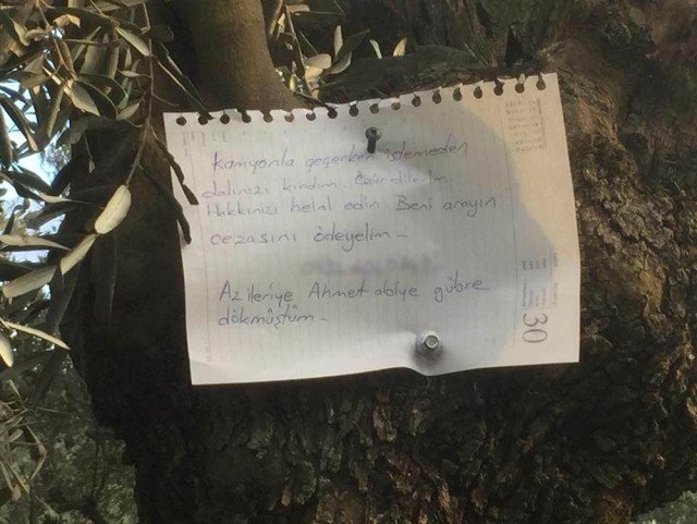 Haberler's tweet photo. Gemlik'te kamyonuyla zeytin ağacının dalını kıran sürücünün bıraktığı "İstemeden dalınızı kırdım. Özür dilerim. Hakkınızı helal edin. Beni arayın" yazılı not sosyal medyayı salladı. https://t.co/Ej8V5Kq4uM
