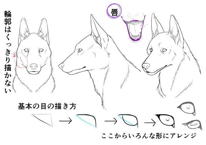 تويتر いちあっぷ By Mugenup クリエイティブ制作会社 على تويتر 犬 獣人 を描くポイント 身体の仕組みから考える 獣人を描き方講座 いちあっぷ T Co Hav60cpifo 絵が上手くなる記事はコレ T Co Wgw65ublqb
