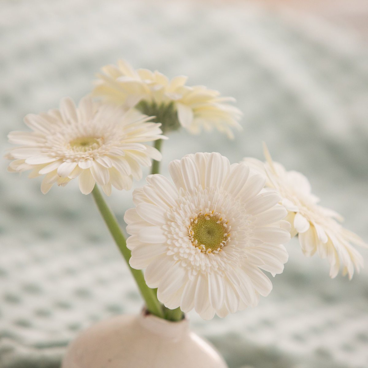 💙Feest in huize Mans!💙 Dankbaar en blij zijn we met de geboorte van onze zoon en broertje Olivier.