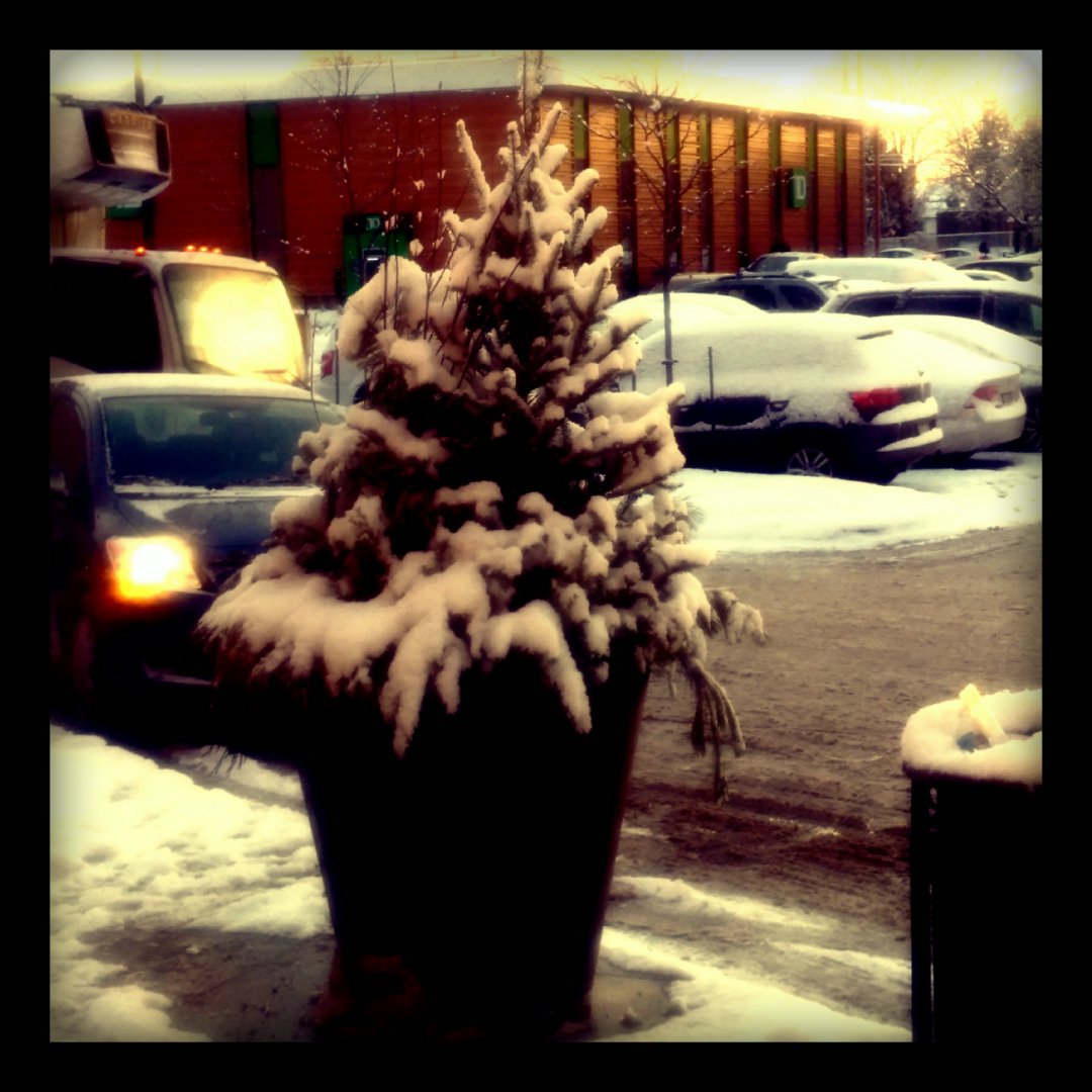 shreyasipanda's tweet photo. #snowing Yesterday was snowing loved it :) <3 #christmas https://t.co/c02qmQGO3n
