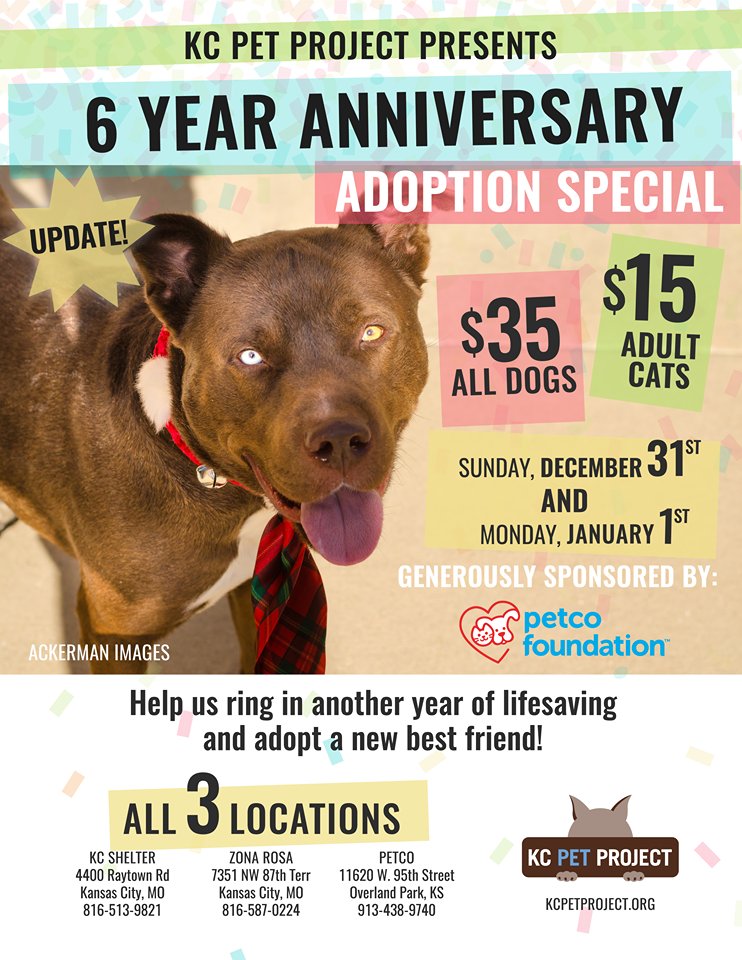 kcpetproject's tweet photo. 53 new pets arrived yesterday alone at KC Pet Project. We're going to start our 6th Year Anniversary special 1 day in advance to help make space for our new arrivals. https://t.co/g3yVAv4olu