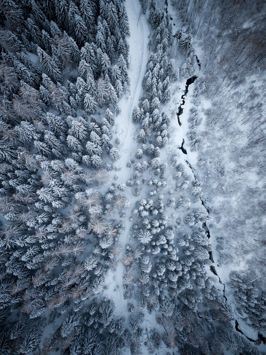 LudovicPizzera's tweet photo. 📍Dalpe 

#ticino #dalpe #djimavic #dronephotography https://t.co/7w3cHaNKnj