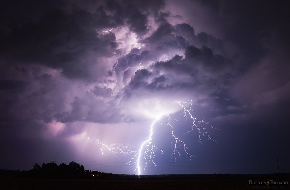 Robin ⚡ tweet media