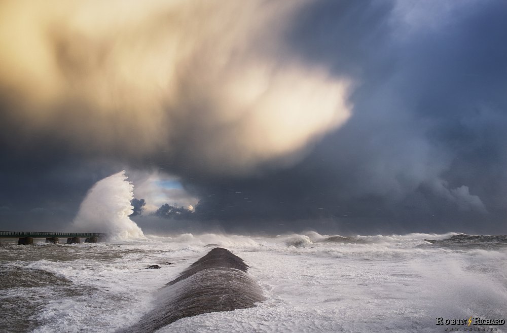 Robin ⚡ tweet media