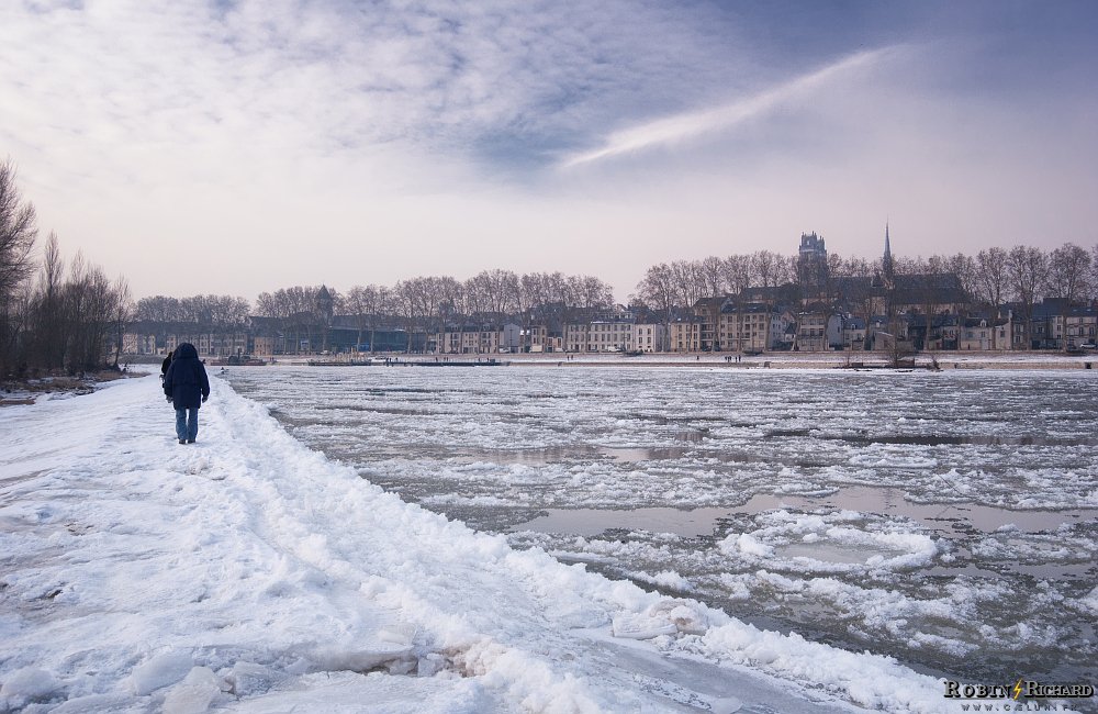 Robin ⚡ tweet media