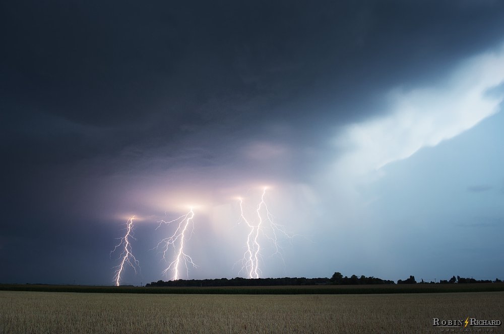 Robin ⚡ tweet media